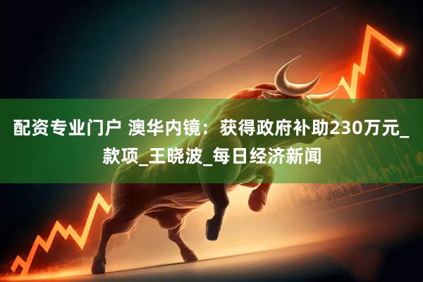 配资专业门户 澳华内镜：获得政府补助230万元_款项_王晓波_每日经济新闻