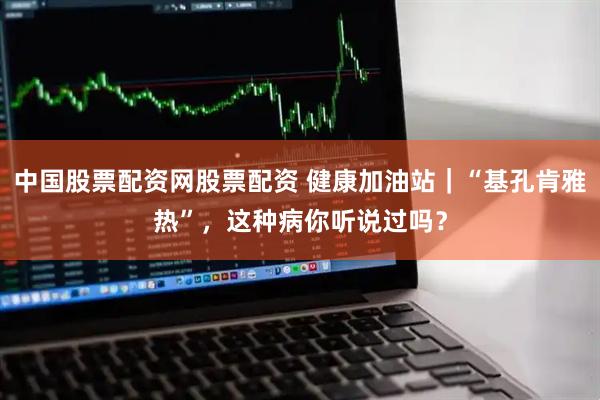 中国股票配资网股票配资 健康加油站｜“基孔肯雅热”，这种病你听说过吗？